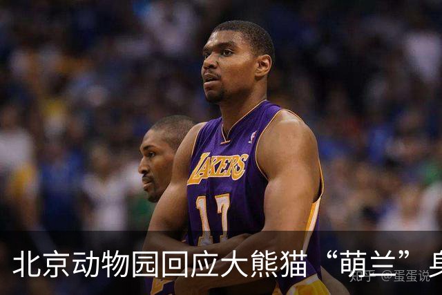 北京动物园回应大熊猫“萌兰”身体状况：已恢复外展 目前状态平稳