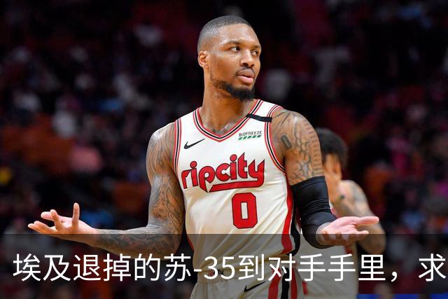 埃及退掉的苏-35到对手手里，求锤得锤，歼-10C成唯一解药