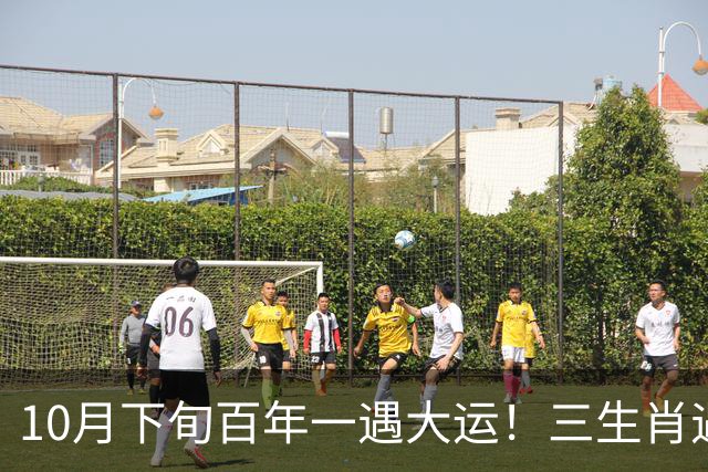 10月下旬百年一遇大运！三生肖遇横财实力财力爆发，想不赢都难