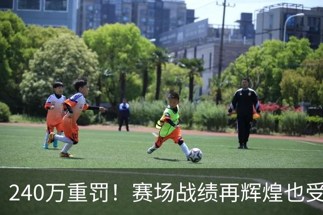 240万重罚！赛场战绩再辉煌也受限，张本一家在日乒进退两难？